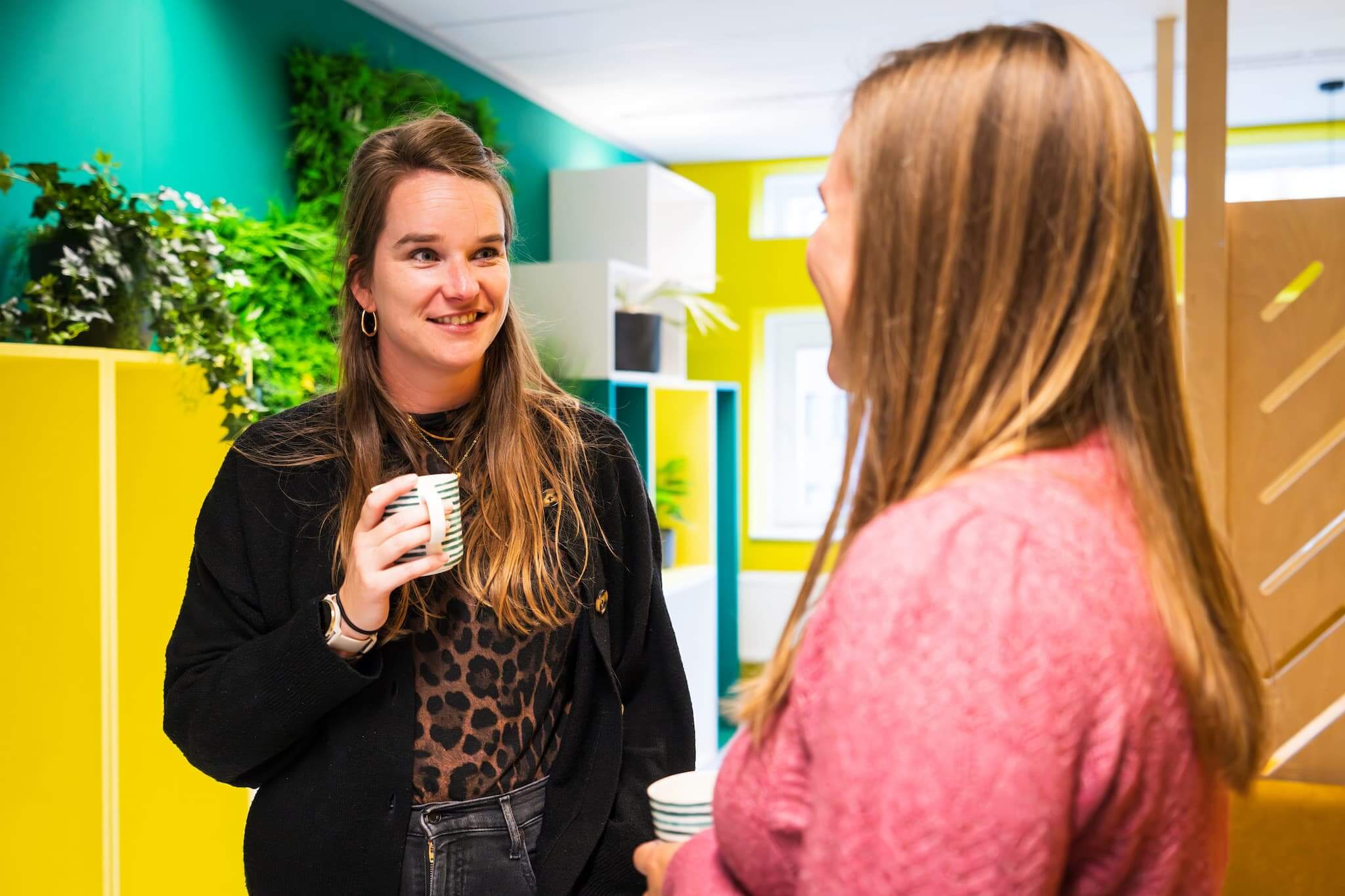 Hayona en WebNL creative studios in Zwolle