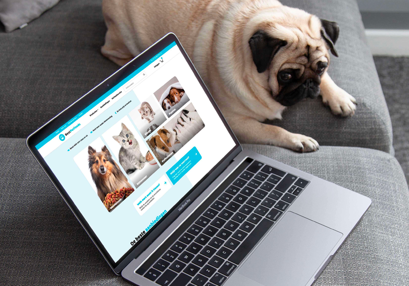 Best Petfoods