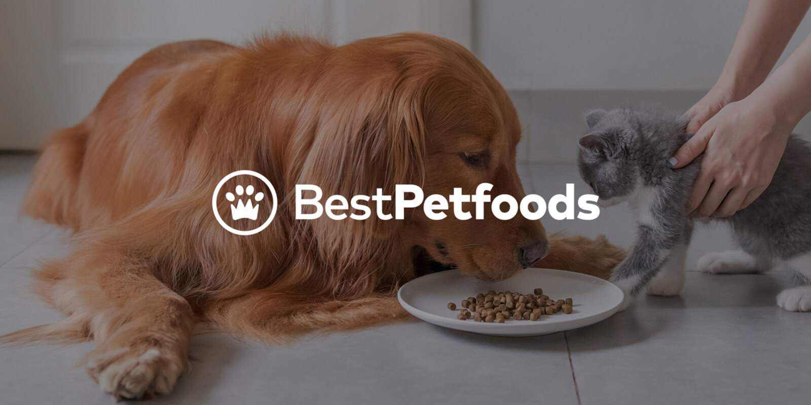 Best Petfoods