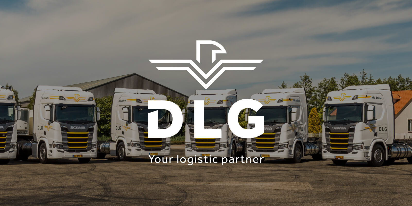 DLG