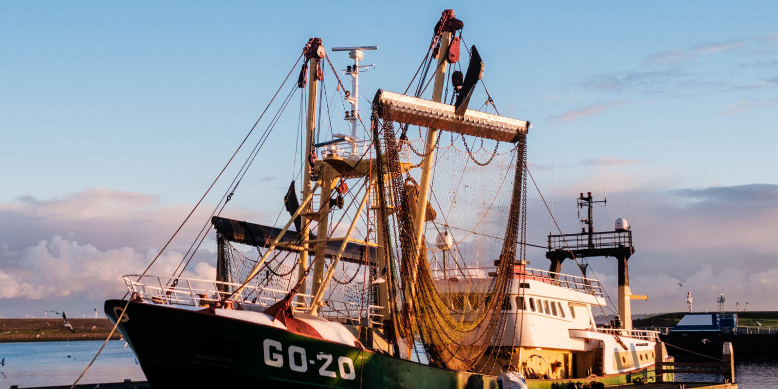 United Fish Auctions (UFA)