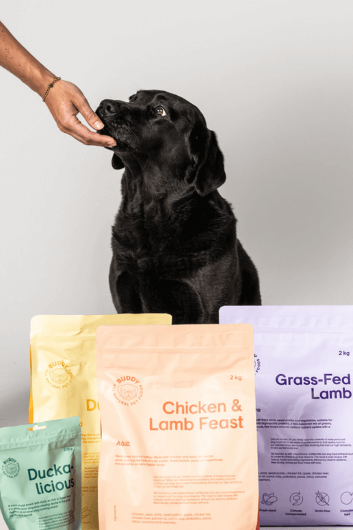 Best Petfoods
